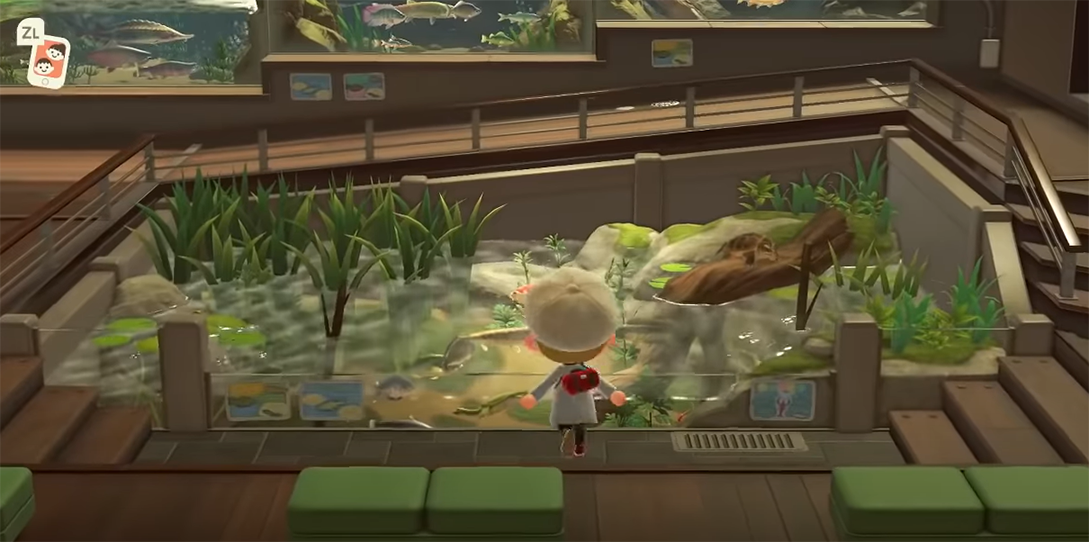 animal crossing characters museum